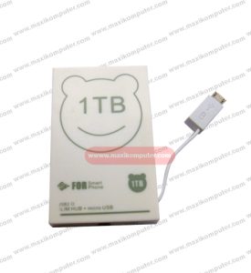 USB Hub Support 1TB + MicroSD