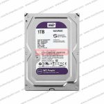 Harddisk WD Purple Surveillance Hard Drive 1TB 3.5" SATA