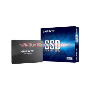 SSD Gigabyte GP-GSTFS31256GTND 256GB SATA III